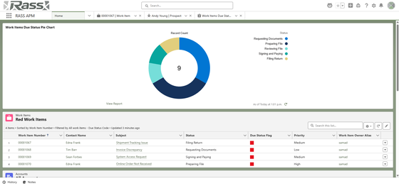 Dashboard overview in Rass APM